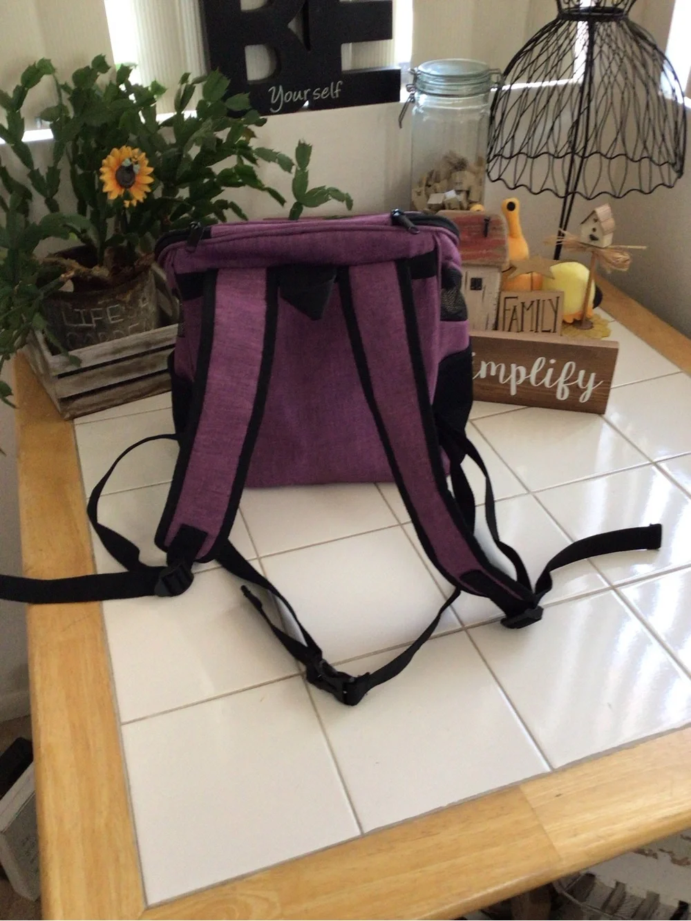 ‘Dogline’ Pet Carrier Backpack
